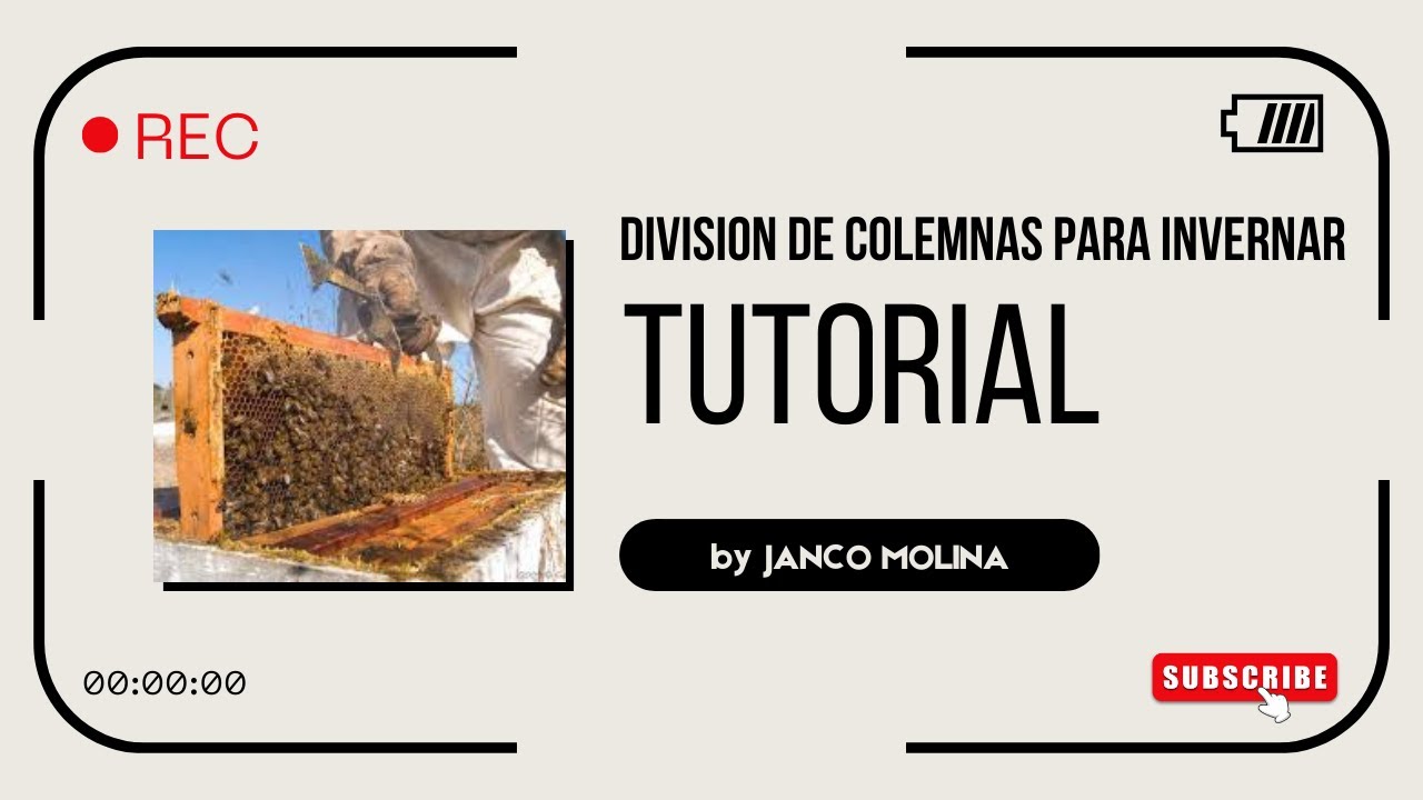 Division de Colmenas en nucleos para pasar mejor el invierno # ...