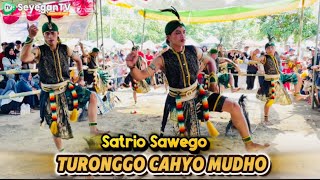 Satrio Sawego | Jathilan Turonggo Cahyo Mudho | Merti Tirto Padukuhan Klinyo Margoluwih Seyegan