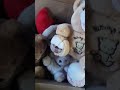 Peluches 🧸.