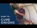 How to Cure Onions