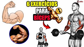 🔴 6 Exercícios Incríveis Para Bíceps - Treino