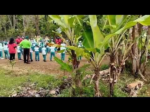 kebun buah naga kampung kuto purwosari kudus - YouTube