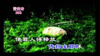 tjc真耶稣教会赞美诗368快传福音