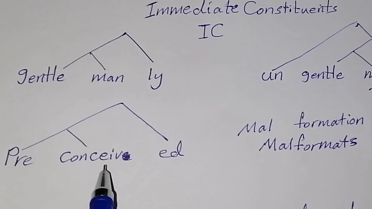 Immediate Constituents #المرحلة_الثانية #مادة_النحو #المحاضرة_الثامنة