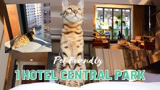 Cat Reviews Best Hotel in New York City | 1 Hotel Central Park