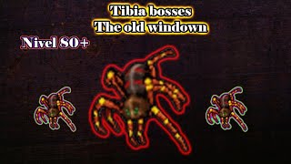 THE OLD WIDOW BOSS 500 GIANT SPIDER TASK // SERIE BOSSES TIBIA JOSEMI