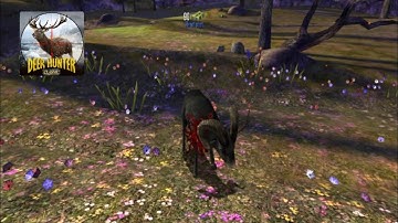 Deer Hunter Classic - (Trophy Hunter : Standard 1)  Gameplay Walkthrough Part 133