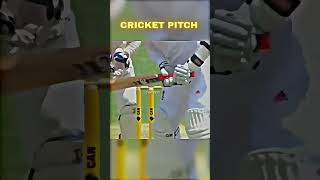 cricket creack pitch #cricket #short #shorts #mrbeast #song #dance