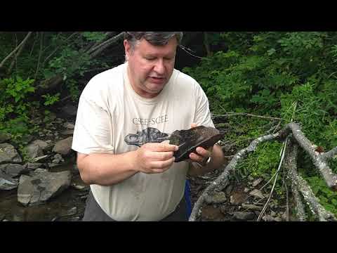 How to Catch Aquatic Insects