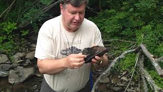 How to Catch Aquatic Insects