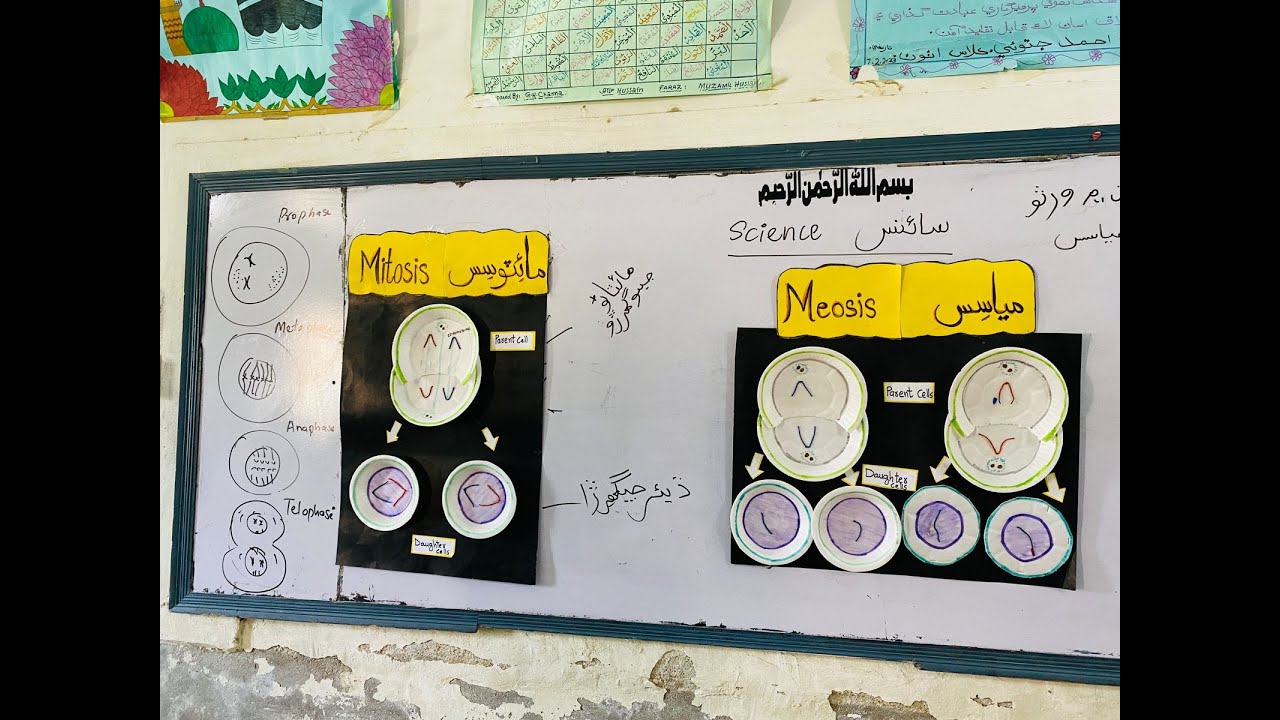 STEDA Best Teaching Practices Competition 2024 | Winning Video | Mohsin Ali | GBHS Abad Lakha Sukkur