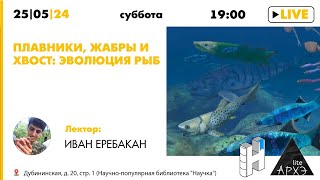 Лекция 'Плавники, жабры и хвост: эволюция рыб' Ивана Еребакана ('Архэ Лайт')