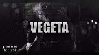 Kaaris x Therapy Type Beat "VEGETA" Instru Rap Sombre 2023 (Prod. bdzMusic)