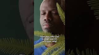 Why Your Brain Forces You To Forgive Toxic People