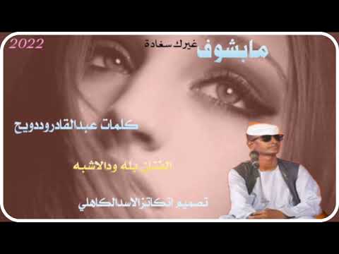 الفنان بله ودالاشبة جديد