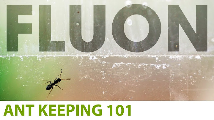 Stop ants from escaping! Using Insect-A-Slip Insect Barrier (Fluon®) | Ant Keeping 101