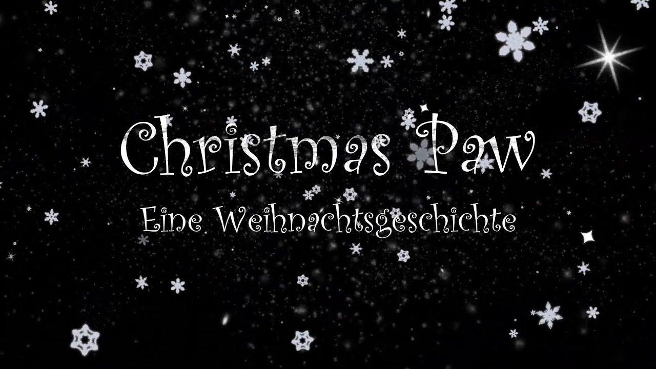 Christmas Paw - Eine Weihnachtsgeschichte | Da kommt etwas auf euch zu | Der Buchschnack