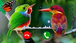 9 September 2022 screenshot 4