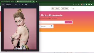 How to download Amber Heard Instagram photos | InstaDP.info screenshot 1