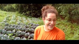 Vlog Dia-A-Dia Na Roça - Fazenda Sismaria