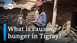 Ethiopia's Tigray region on 'brink of famine' | DW News