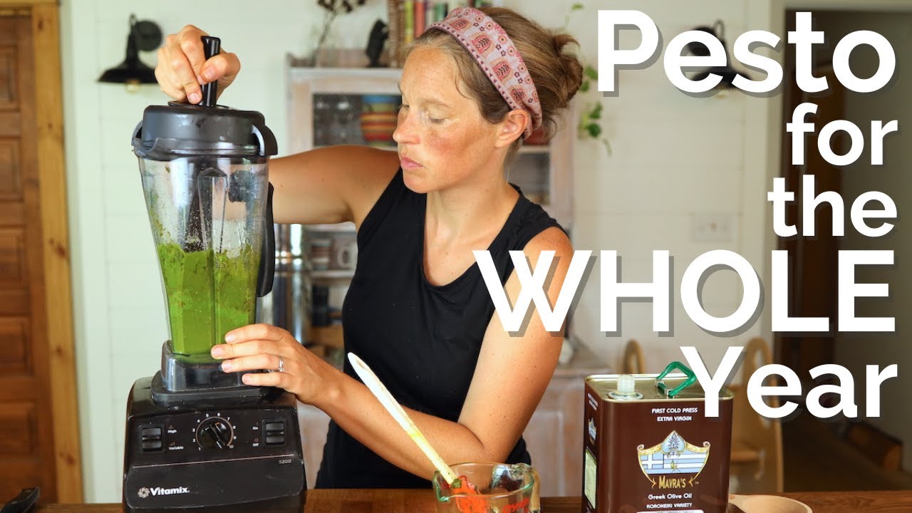 Preserving Enough Pesto for the Whole Year on our Homestead How to