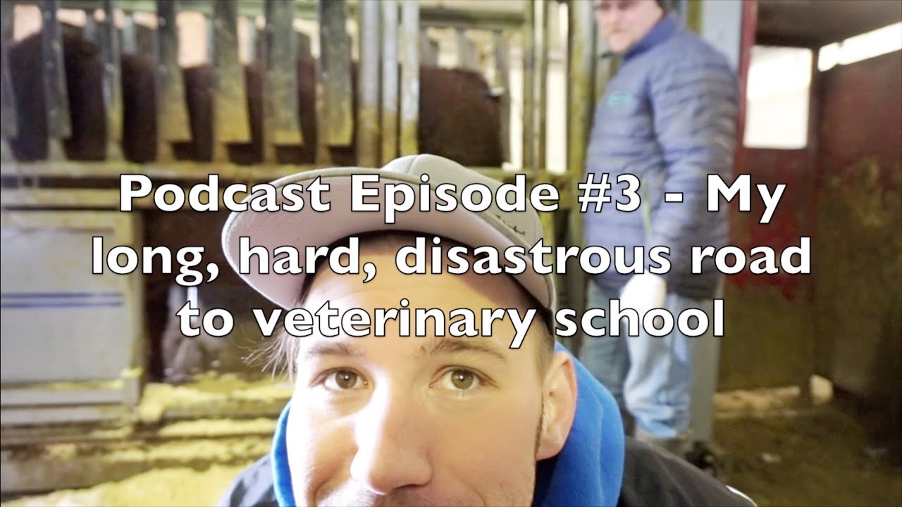Podcast #3 - My long, hard, disastrous road to veterinary school