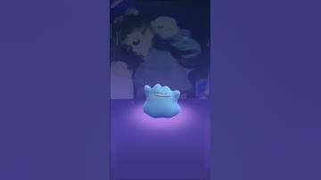 SHINY ✨✨DITTO✨✨ ENCOUNTER IN THE WILD #shiny #ditto #shorts #pokemon go