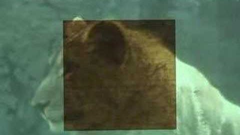 luminance calibration [before]