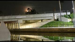 Light tackle Spotted Bay Bass Action! Fishing Newport Harbor 2/25/26
