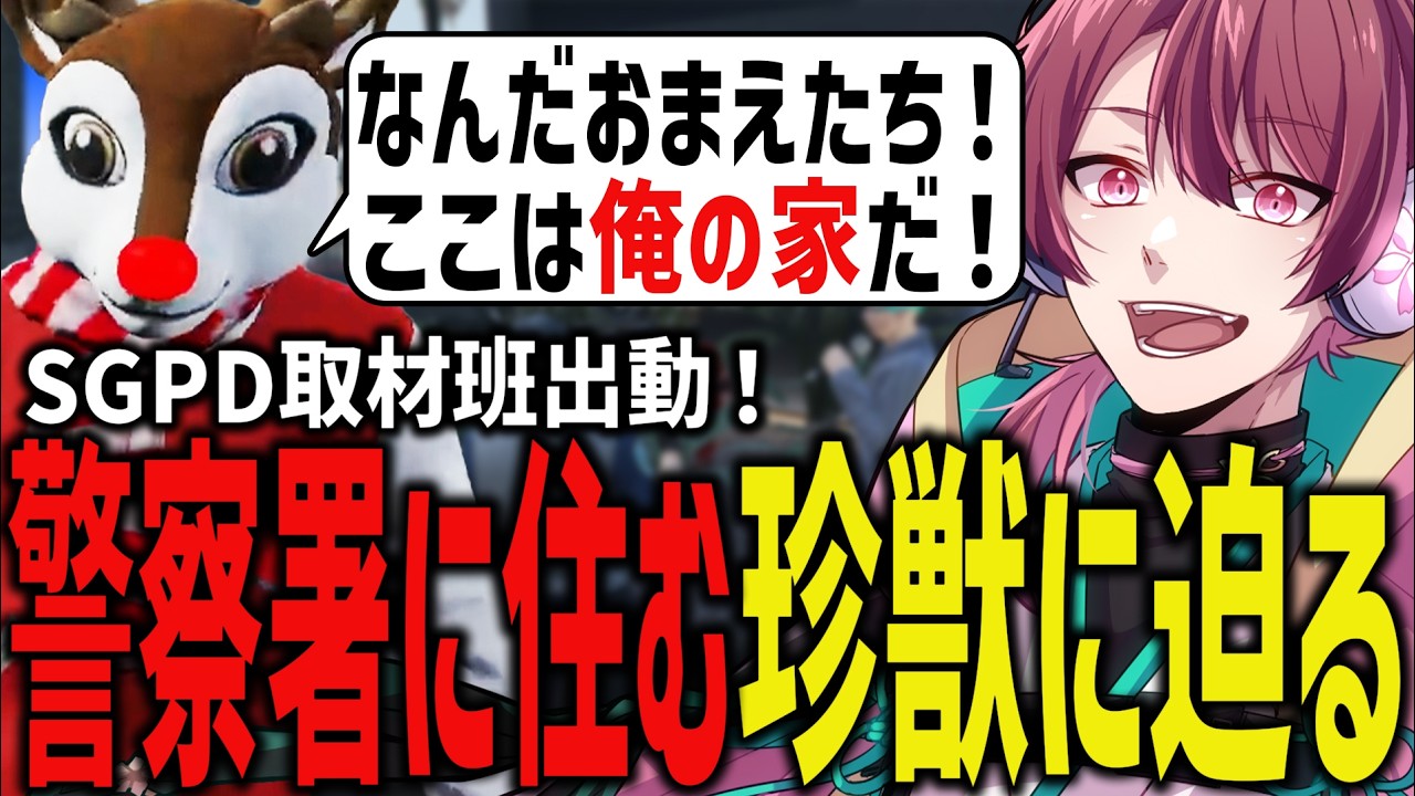 【ストグラ】警察署のペットになったコーラボーイに突撃インタビューしてみた！【ちゃげぽよ。/瀬戸あさひ/#ストグラ / ヒロ ヤマモト / 警察 】
