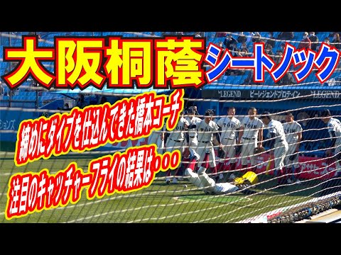 大阪桐蔭　締めにダイブを仕込んできた橋本コーチ　注目のキャッチャーフライの結果は・・・。　2022ラストシートノック　【明治神宮大会　決勝　大阪桐蔭ー広陵】高校野球ニュース