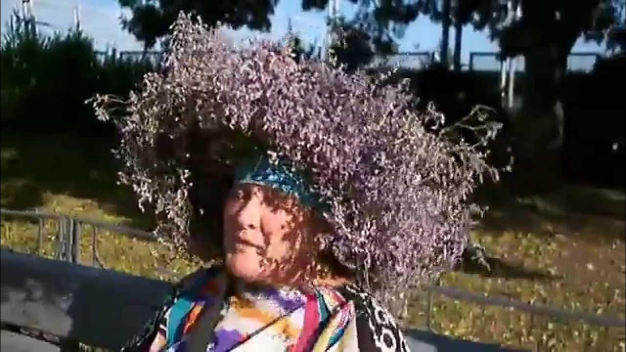 Ебун трава фото
