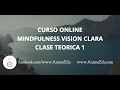 Curso Mindfulness de Vision Clara - Clase Teórica 1