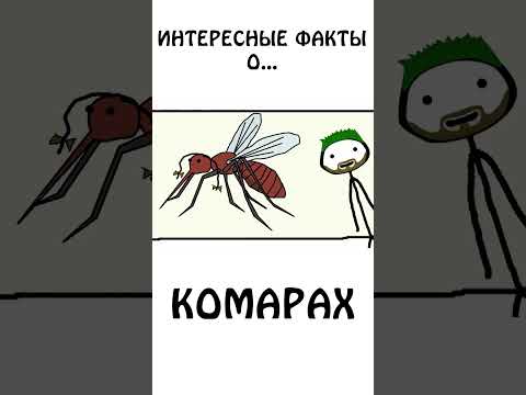 "Интересный факт о комарах" #комары #шортс #животные #академияброкколи #анимация #интересно