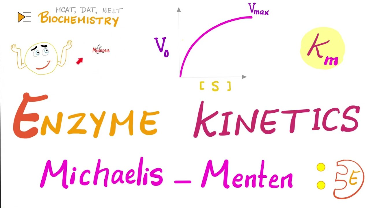 Michaelis-Menten Equation & Enzyme Kinetics | Biochemistry Series - YouTube