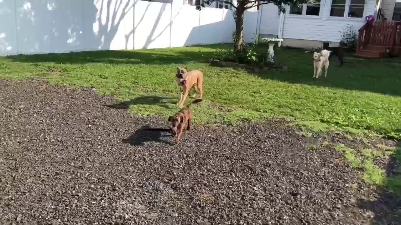 Early Morning Social - YouTube