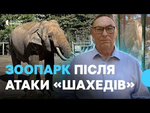Як тварини у зоопарку пережили удари по «Епіцентру»