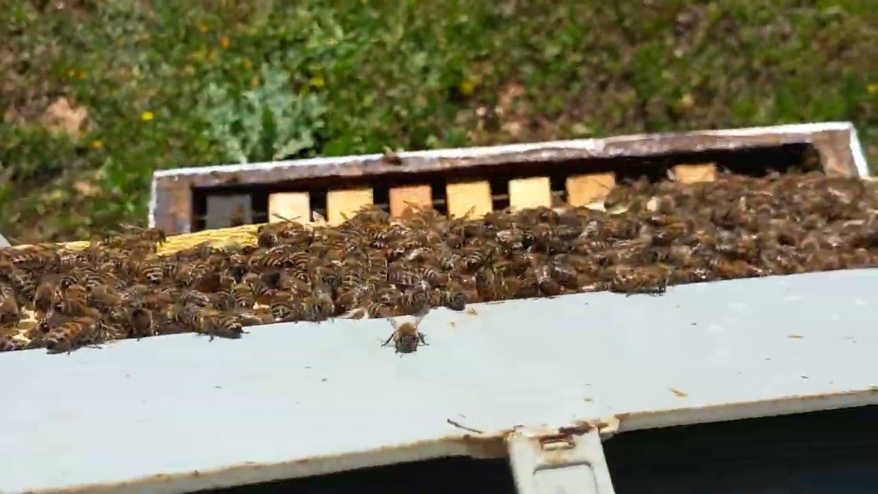 SIRADIŞI KAT ATMA TEKNİĞİ NASIL OLUR ?