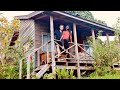 TINY CABIN | Cozy Wood Cabin in Blue Mountain Jamaica