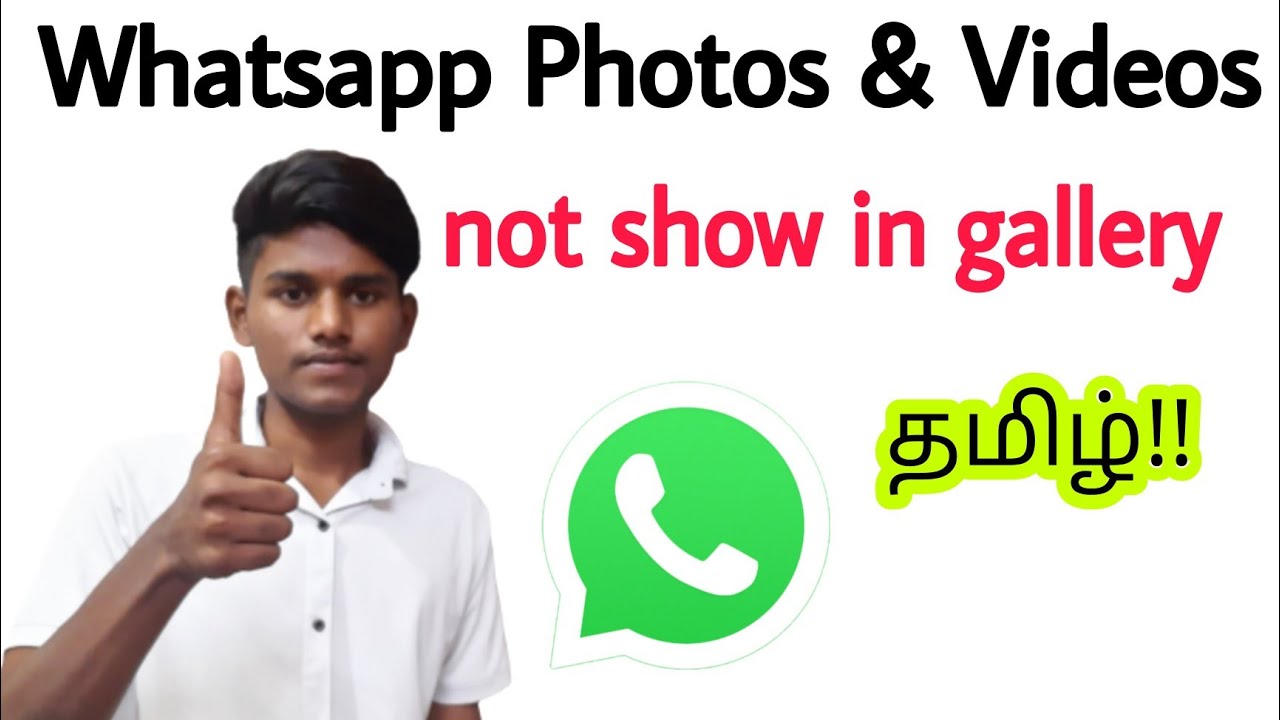 Whatsapp Images And Videos Not Showing In Gallery In Tamil Whatsapp whatsapp-images-and-videos-not-showing-in-gallery-in-tamil-whatsapp