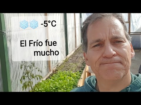 Video: ¿Un invernadero sin calefacción protegerá de las heladas?