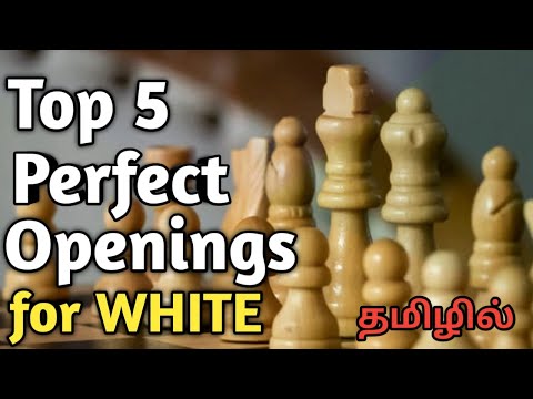 5 Most Popular Chess Openings For Beginners