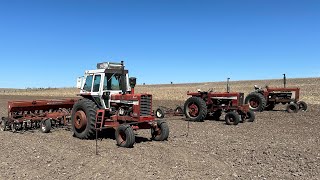 A Harrowing Time Drilling Oats! Plus a Crustbuster! Putting the IH Fleet to Work!