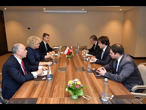 ირაკლი კობახიძის შეხვედრა პოლონეთის რესპუბლიკის სენატის თავმჯდომარის მოადგილე მარია კოჩთან