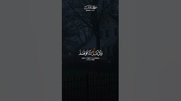 ما تيسر دم سورة يونس 🤍 | القارئ عبدالرحمن مسعد | قرآن كريم