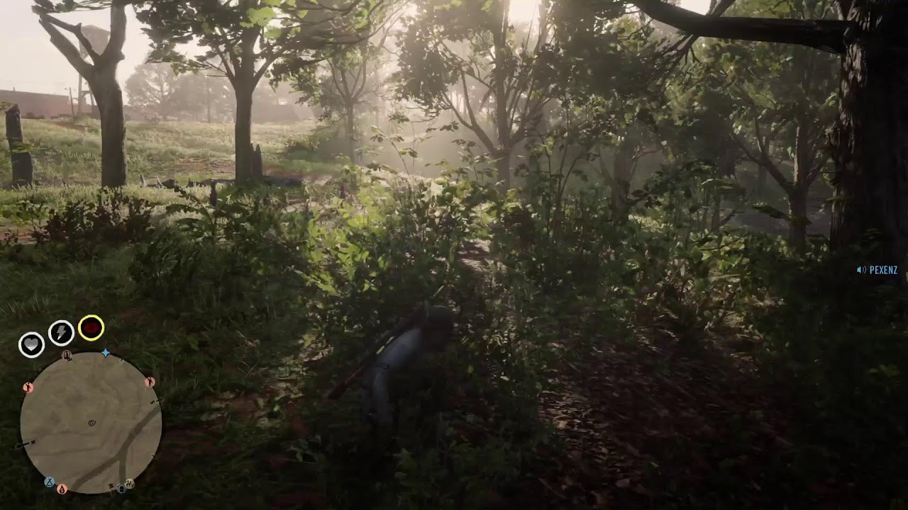 It's griefing time destroying freeze laggers #rdo