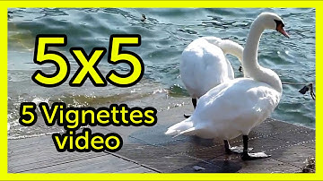 5x5. Italian afternoon on the lake (5 Vignettes video)