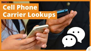 How To Conduct Cell Phone Carrier Lookups, Find the Current Carrier, and Save SMS Fees screenshot 4