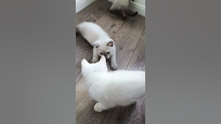 попытки отнять игрушку